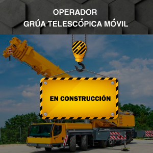 Operador de Grúa Móvil