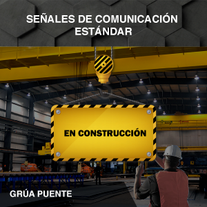 Señales de Comunicaciones Estándar - Grúa Puente