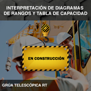 Grúa Telescópica RT