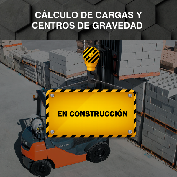 Calculo de Cargas y C.G.