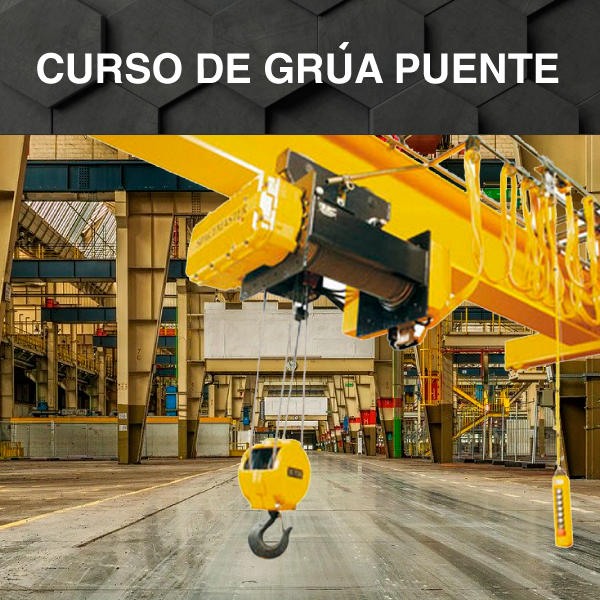 Operador de Grúa Puente / Pórtico